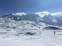 IMG 0293