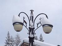 IMG 4923