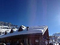 IMG 4961