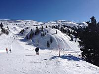 IMG 1583