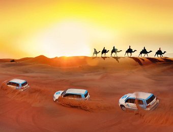 Desert safari
