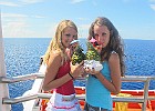 Alle Bahamas
