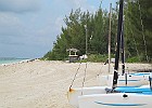 IMG 2571