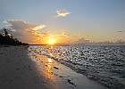 IMG 2948