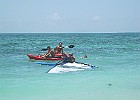 IMG 7753 (2)