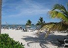 IMG 7846
