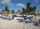IMG 7858