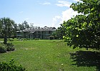 IMG 7871