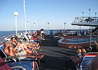 IMG 7887