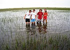 IMG 2573r