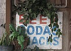 IMG 7757