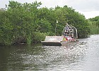 Everglades