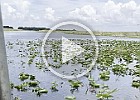 IMG E0170