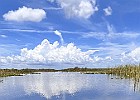 IMG E0191