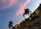 IMG 1219