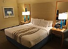 IMG 1221