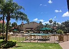 IMG 1305