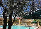 IMG 1306