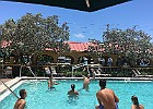 IMG 1470