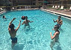 IMG 1478