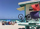IMG 1605