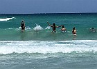 IMG 1608