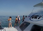 DSCN1338