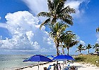 IMG 0275