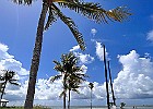 IMG 0284