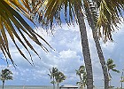 IMG 0291