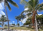 IMG 0292