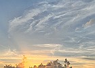 IMG 0311