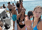 IMG 0353