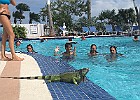 IMG 1677