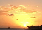 IMG 1684