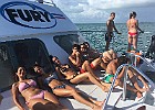 IMG 1688