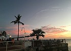 IMG 1708