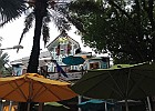 IMG 4130