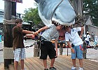Orlando 08
