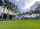 IMG 9655