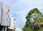 IMG 9668