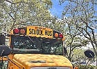 IMG 9677