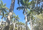 IMG 9815