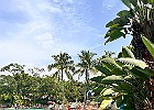 IMG 0002