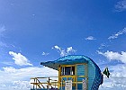 IMG 0099