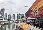 IMG 0153