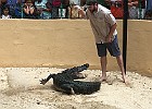 IMG 1234
