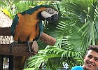 IMG 1235