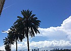 IMG 1328