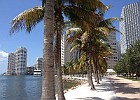 IMG 3868